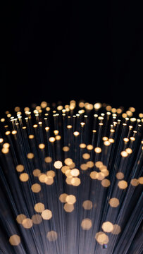 Fiber optic strands emitting light against a dark background.