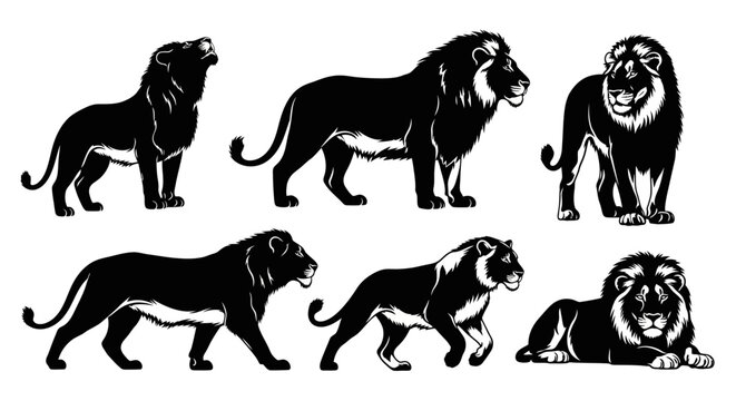 Set of Lion Silhouettes in Various Poses