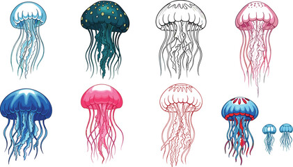 Beautiful jellyfish vector collection featuring detailed sea creature illustrations in various colors and styles like line art and glowing neon for marine life and ocean designs. © MDSaiful