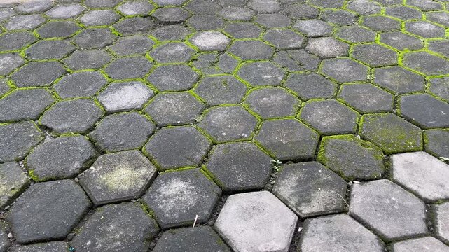 Wide View of Hexagonal Paving Blocks with Green Moss Texture
