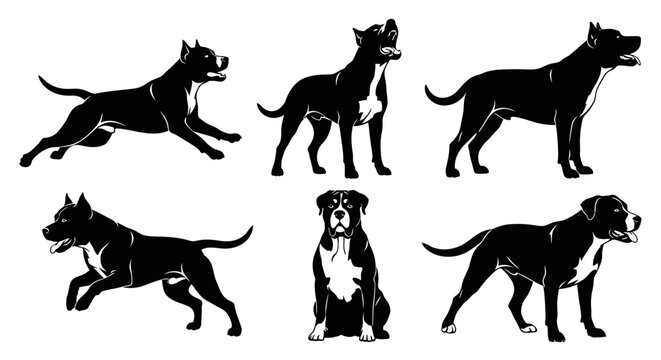 Set of American Pit Bull Terrier Silhouettes in Various Poses