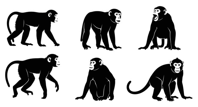Monkey Silhouettes Set: Black Primate Graphics in Various Poses on White Background