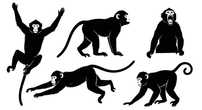 Set of Monkey Silhouettes in Various Poses
