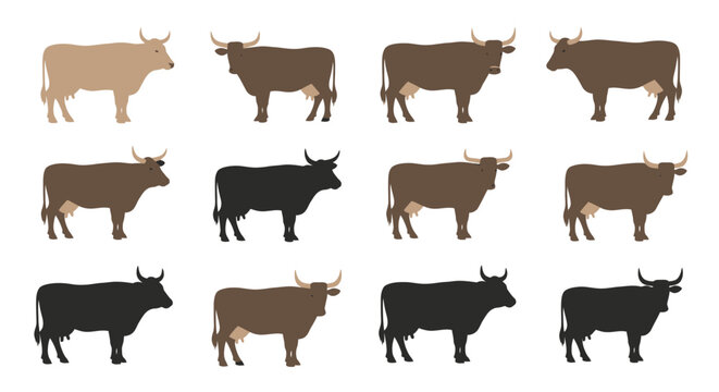 Brown and black cows standing still.