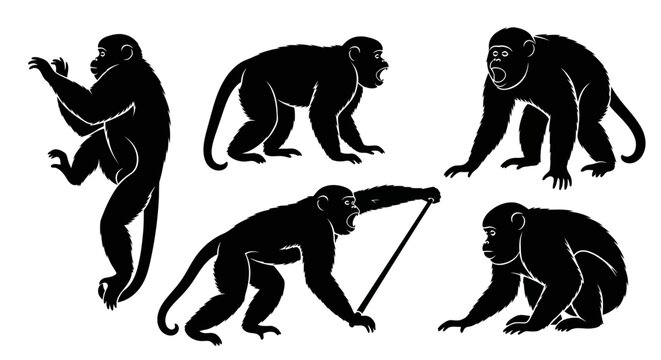 Set of Monkey Silhouettes in Various Poses