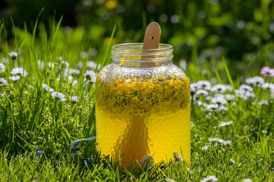 Traditional Greater Celandine Herbal Infusion with Lemon and Honey in Wildflower Meadow &mdash; Natural Wellness and Folk Remedy
