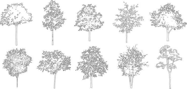 Architectural vector set shrubs bushes trees flowers in elevation view for landscape design
