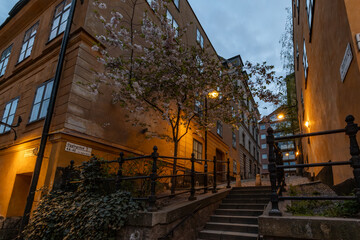 Stockholm, Sweden The Ugglegrand alley in the Sodermalm district at night with street illumination and cherry blssoms. © Alexander