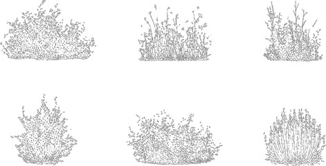 Architectural vector set shrubs bushes trees flowers in elevation view for landscape design © Yousha Jajan