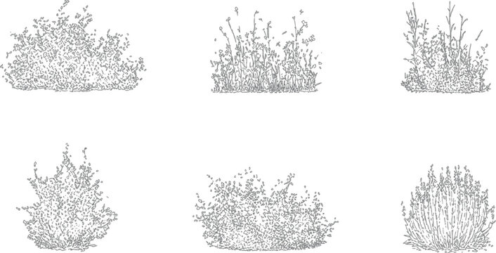 Architectural vector set shrubs bushes trees flowers in elevation view for landscape design