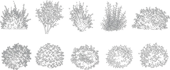 Naklejka premium Architectural plants vector set shrubs bushes trees flowers in elevation view for drawings