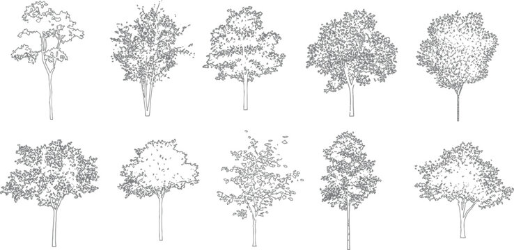 Architectural vector set shrubs bushes trees flowers in elevation view for landscape design