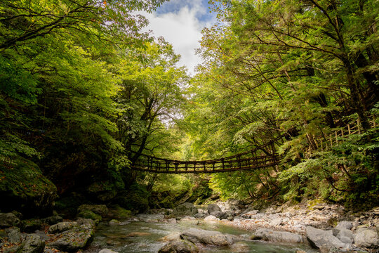 Oku-Iya Double Vine Bridge, Miyoshi City, Tokushima Prefecture