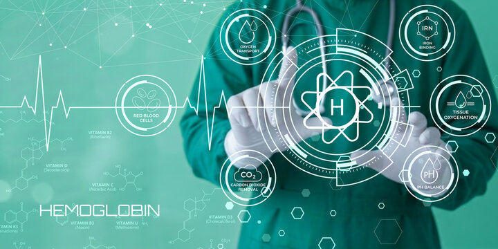 Medical professional analyzing hemoglobin functions and blood health with scientific visual elements