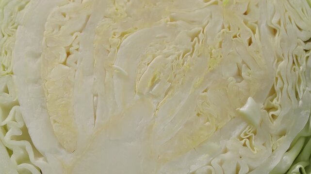 Extreme close-up of sliced cabbage head with detailed layered texture, camera moving slowly from bottom to top, fresh organic vegetable pattern, abstract natural food background