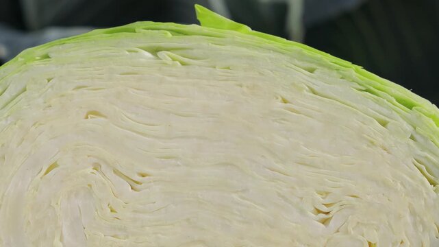 Extreme close-up of sliced cabbage texture with detailed layered pattern, camera slowly moving from left to right, abstract natural food background, fresh organic vegetable