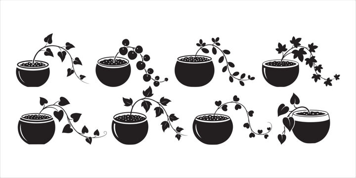 Collection of black silhouette potted trailing plants and vines