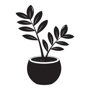 Black silhouette of a zamioculcas plant in a round flower pot