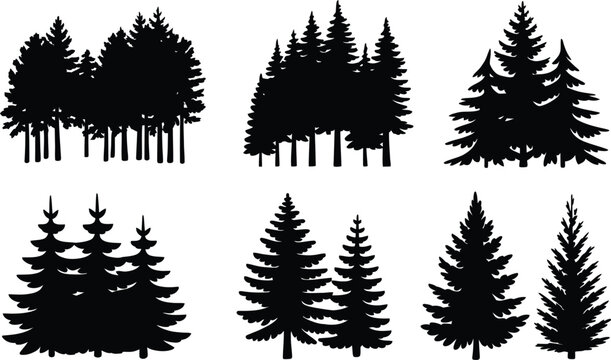 Black silhouette pine trees forest collection fir tree
