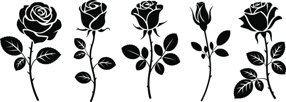 Five black rose silhouettes with stems and leaves white