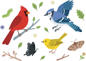 Naklejka premium Birds and Nature Illustration Set with Cardinal, Blue Jay, Yellow Bird, Butterfly, Moth, and Flowers for Wildlife and Educational Designs