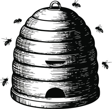 Biological Illustration of Honeybee Hive Colony and Swarming Bees