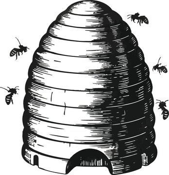 Vintage Engraving of Beehive Skep with Bees Vector Illustration