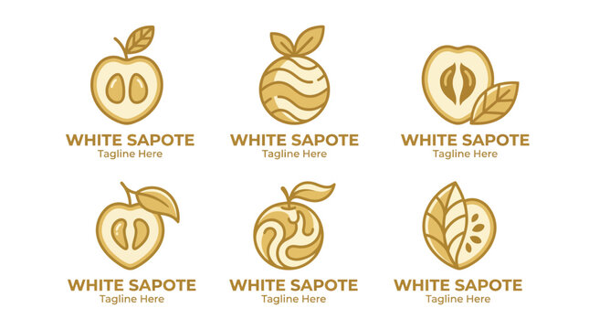 This stylish collection of white sapote logos highlights the fruit's aesthetic appeal, ideal for branding related to exotic fruits, health food, or fresh produce markets.
