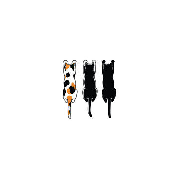 Three cats walk away from viewer in a line with different patterns