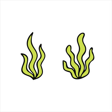 sea grass vector