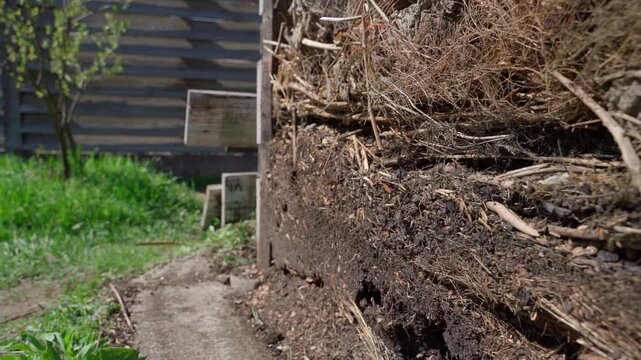 Cross section of compost pile layers showing decomposing organic matter close-up in backyard garden