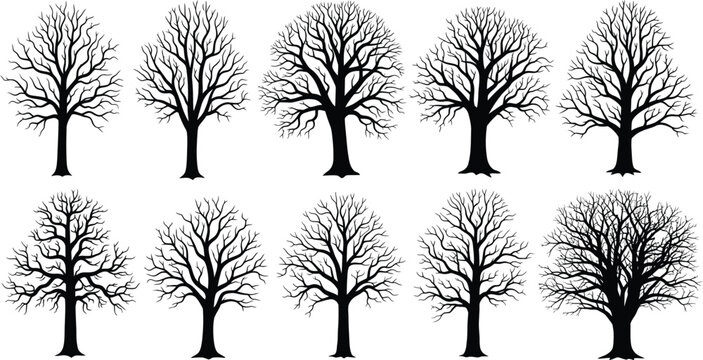 Set of deciduous tree silhouettes featuring various branching patterns and trunk shapes for nature and landscape illustration silhouette branches collection isolated deciduous botanical