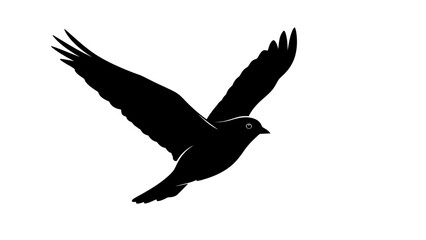 Bird in Flight Silhouette Aerial View. © Sayang