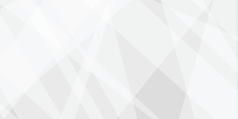 Fototapeta premium Abstract background with white and gray and geometric style with simple lines and corners, polygons as background geometric style with simple lines and corners, polygons as background paper texture