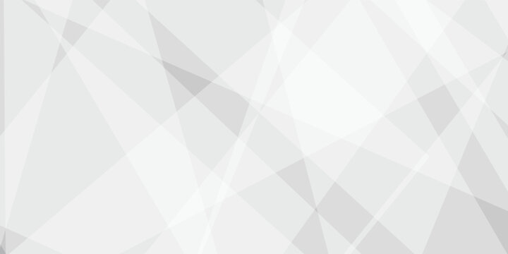 Abstract background with white and gray and geometric style with simple lines and corners, polygons as background geometric style with simple lines and corners, polygons as background paper texture