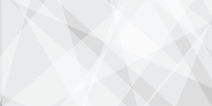 Abstract background with white and gray and geometric style with simple lines and corners, polygons as background geometric style with simple lines and corners, polygons as background paper texture