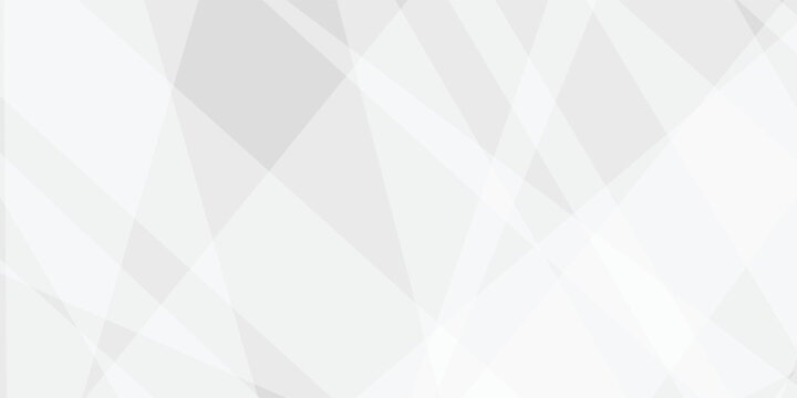 Abstract background with white and gray and geometric style with simple lines and corners, polygons as background geometric style with simple lines and corners, polygons as background paper texture