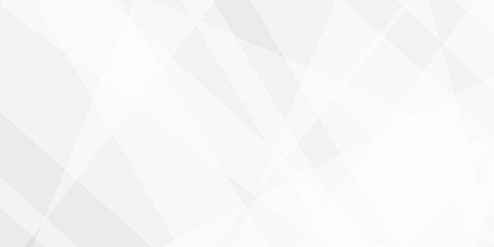 Abstract background with white and gray and geometric style with simple lines and corners, polygons as background geometric style with simple lines and corners, polygons as background paper texture