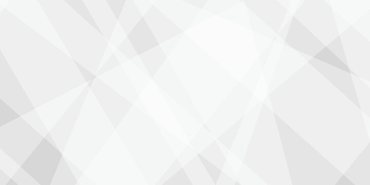 Abstract background with white and gray and geometric style with simple lines and corners, polygons as background geometric style with simple lines and corners, polygons as background paper texture