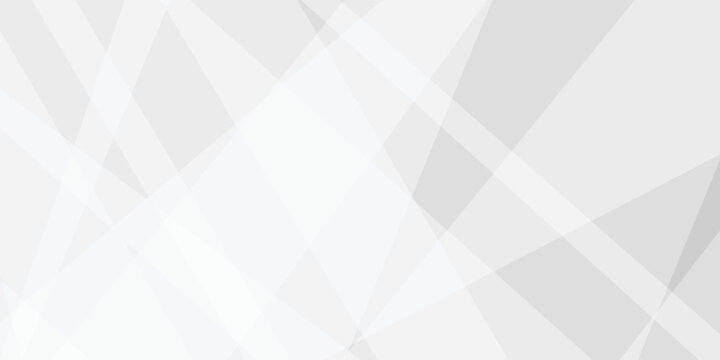 Abstract background with white and gray and geometric style with simple lines and corners, polygons as background geometric style with simple lines and corners, polygons as background paper texture