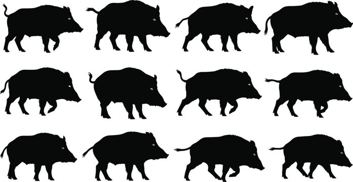 Wild boar silhouette collection, animal vector icons, black wildlife artwork, nature clipart, mammal design, zoology illustration, species study, forest graphics
