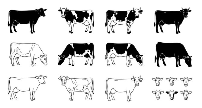 Cattle and cow herd silhouettes and line art collection showing farm animals in various poses for agricultural branding