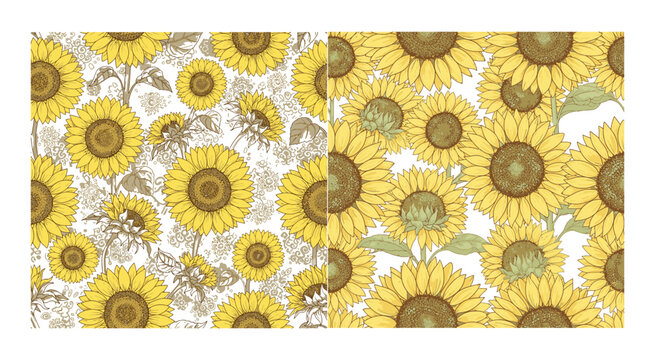 Seamless pattern with beautiful yellow sunflowers for spring and summer design