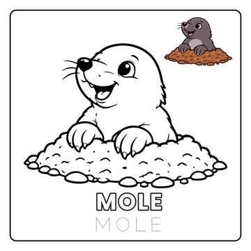 Mole Animal Children Coloring Pages