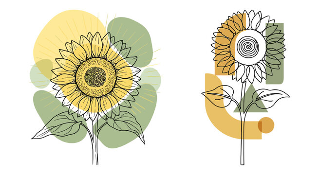Sunflower line art drawing with abstract watercolor shapes set