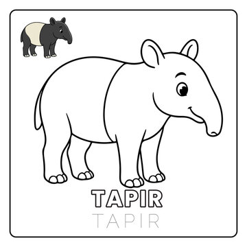 Tapir Animal Children Coloring Pages