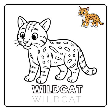 wildcat Animal Children Coloring Pages