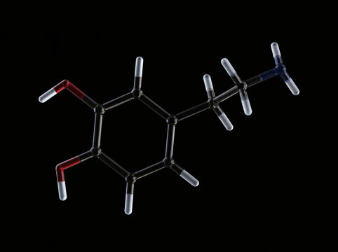 3D Render of Dopamine Molecule Structure Isolated on Black Background - Neurotransmitter of Pleasure Reward and Motivation in the Human Brain Chemical Formula C8H11NO2 Science Medical Concept, Biology