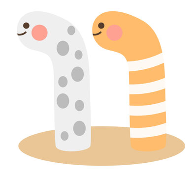 かわいいチンアナゴ