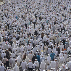 Obraz premium large crowd of people
